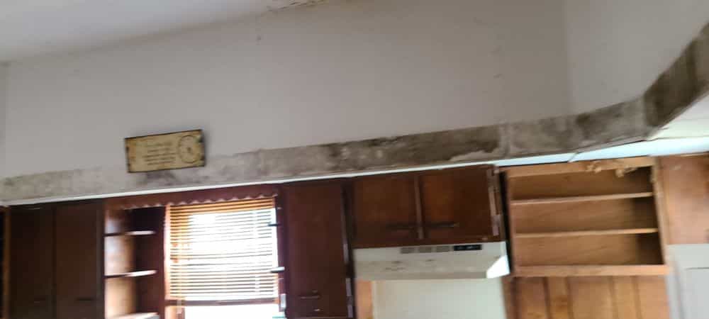 Picture of undefined, number 17