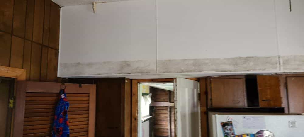 Picture of undefined, number 11