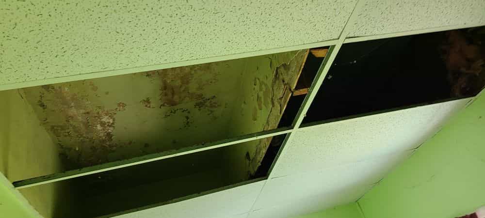 Picture of undefined, number 25