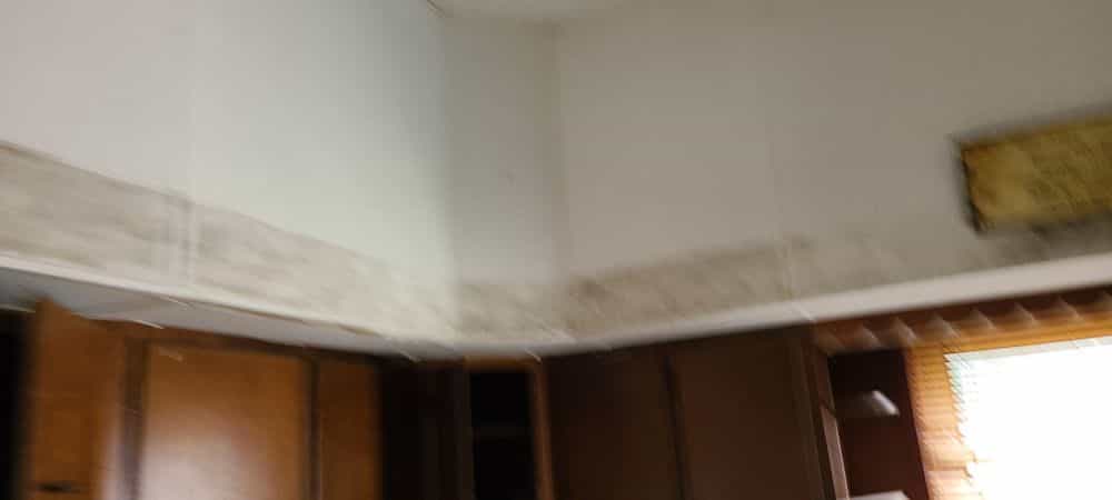 Picture of undefined, number 23