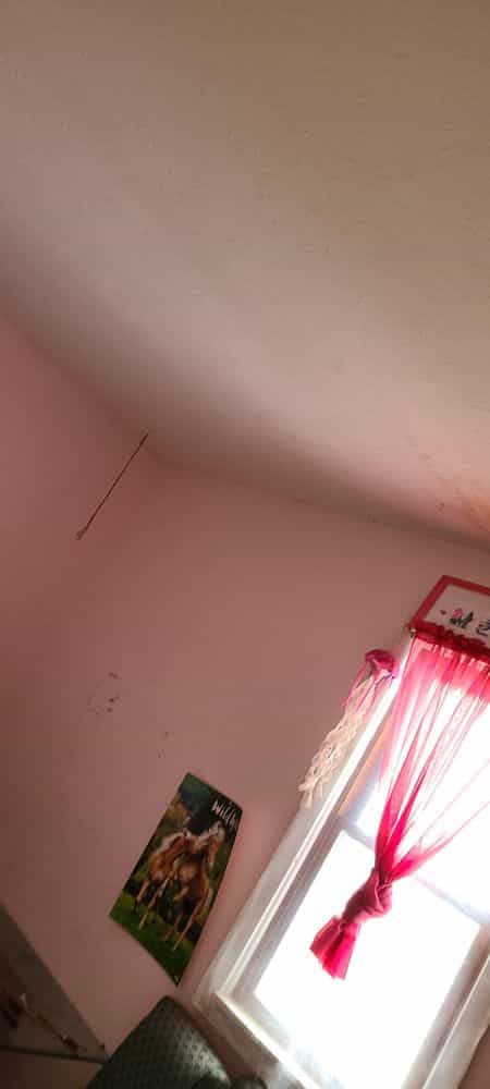 Picture of undefined, number 14