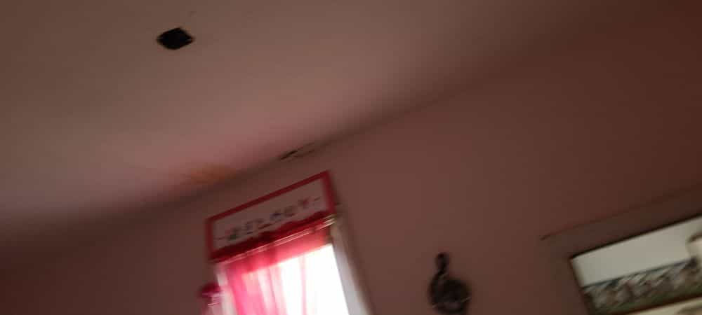 Picture of undefined, number 10