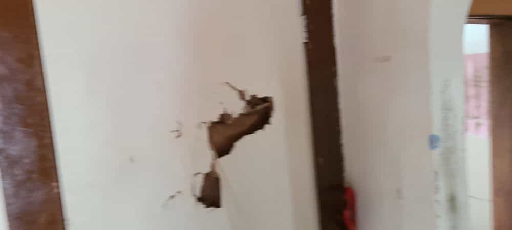 Picture of undefined, number 8