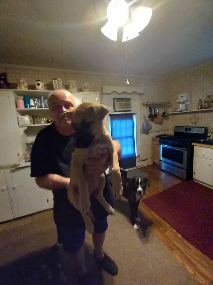 Picture of undefined, number 5