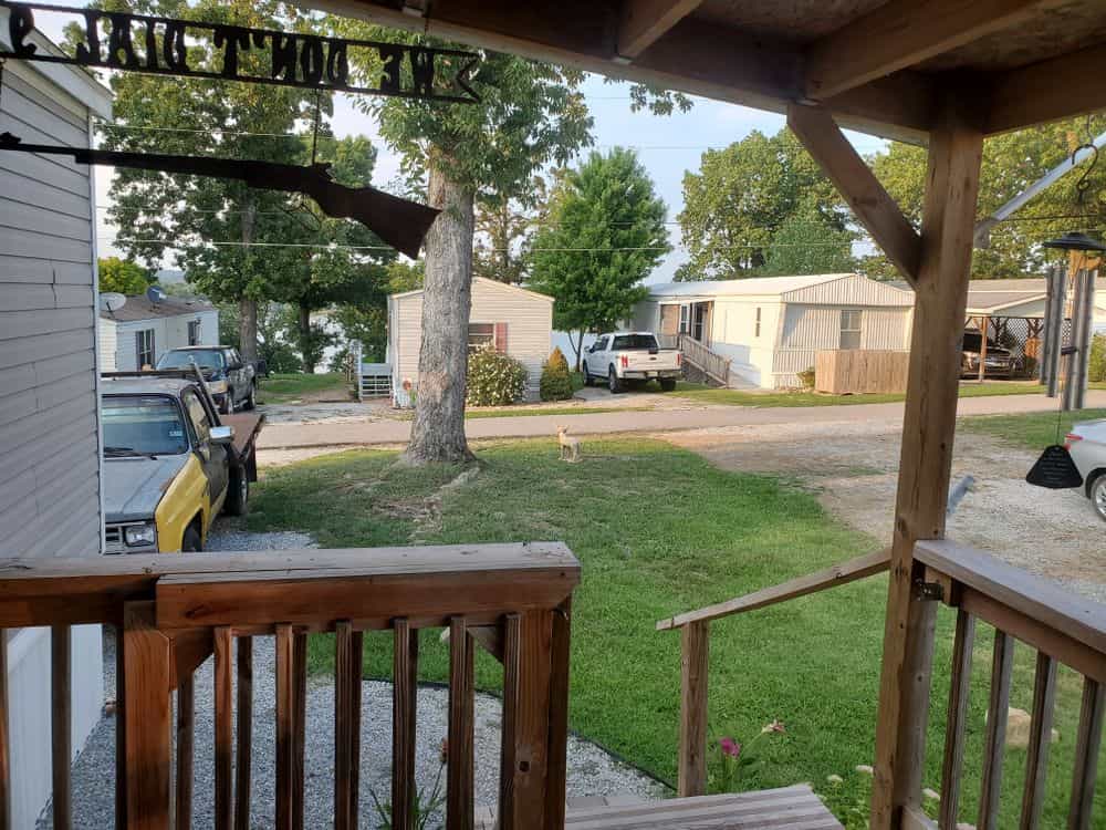 Picture of undefined, number 6