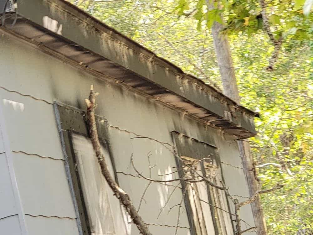 Picture of undefined, number 1