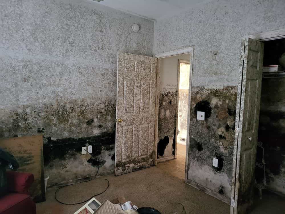 Picture of undefined, number 15