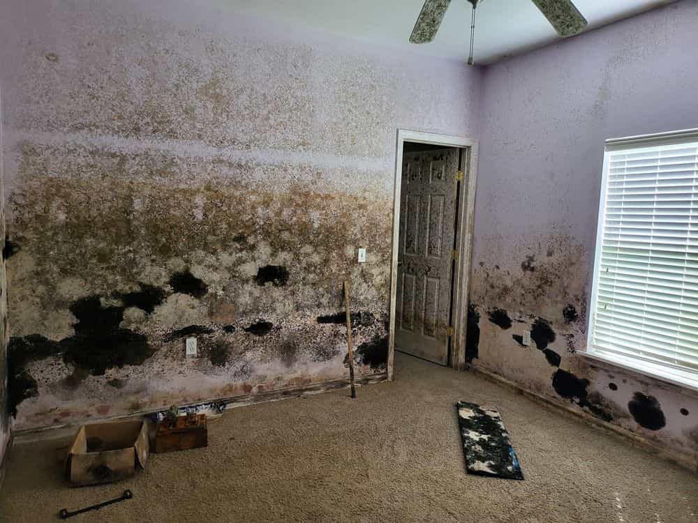 Picture of undefined, number 21