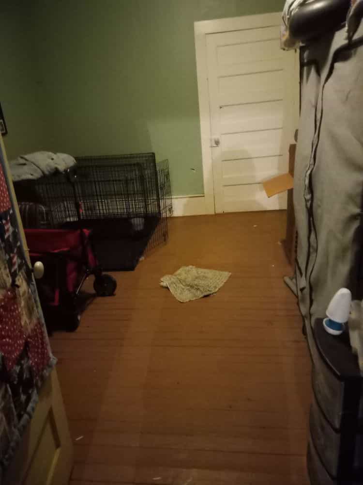 Picture of undefined, number 12