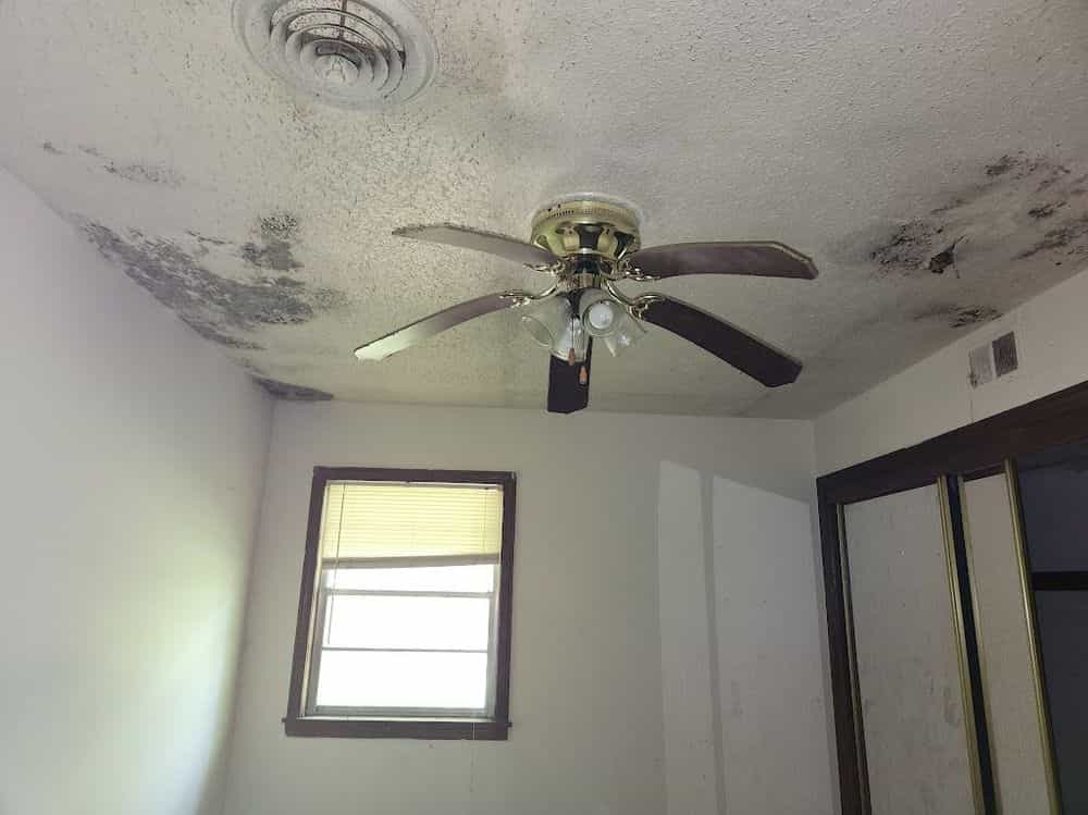 Picture of undefined, number 101