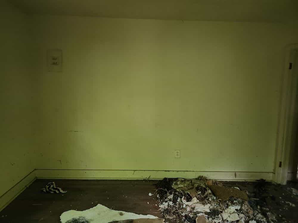 Picture of undefined, number 43