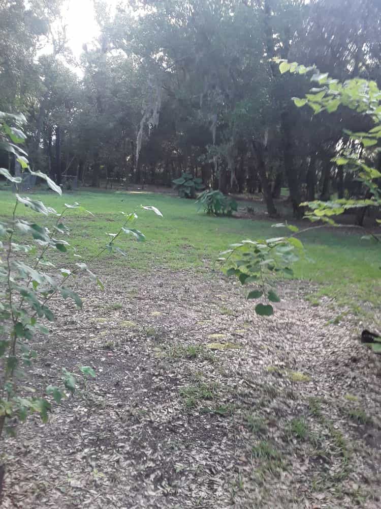 Picture of undefined, number 2