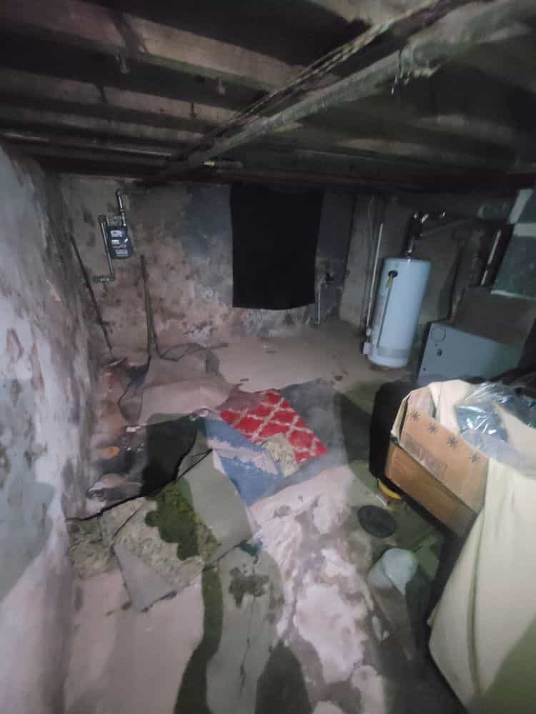 Picture of undefined, number 16