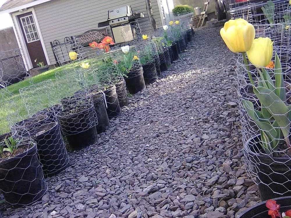 Picture of undefined, number 102