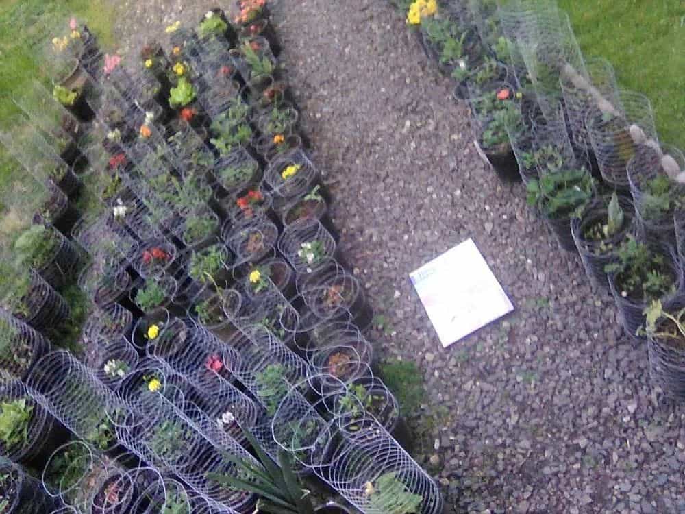 Picture of undefined, number 115
