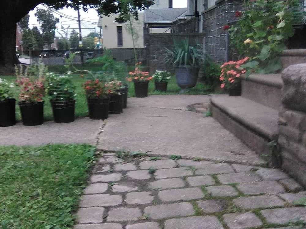 Picture of undefined, number 121