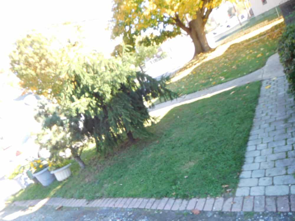 Picture of undefined, number 14