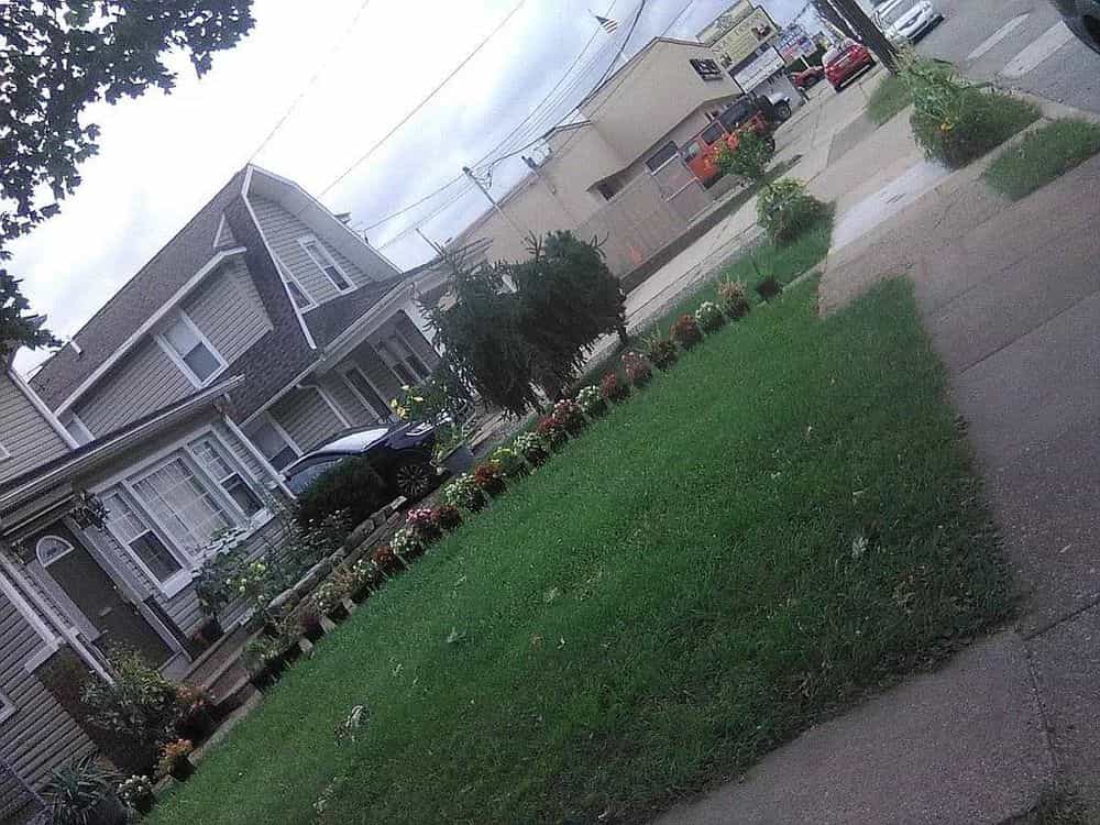 Picture of undefined, number 123