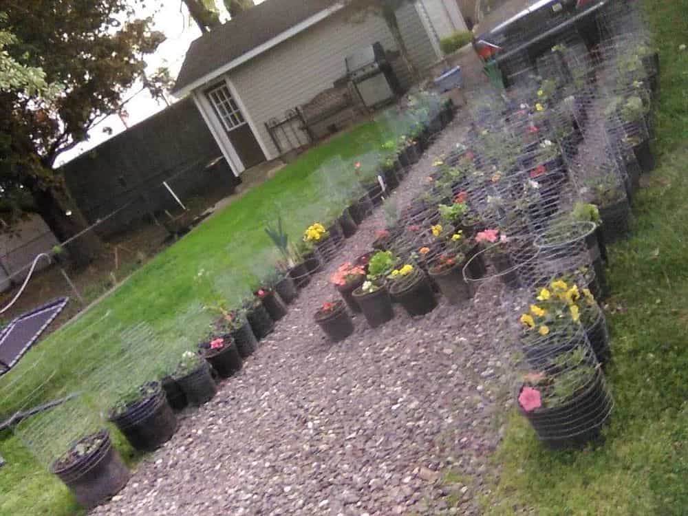 Picture of undefined, number 125