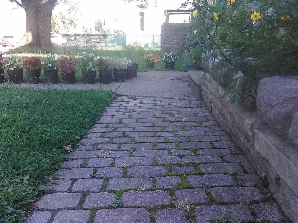 Picture of undefined, number 132
