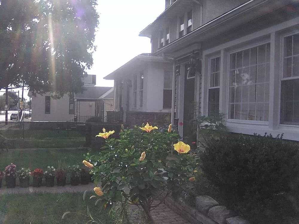 Picture of undefined, number 133
