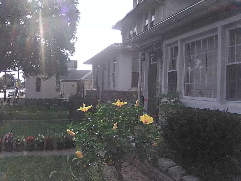 Picture of undefined, number 134