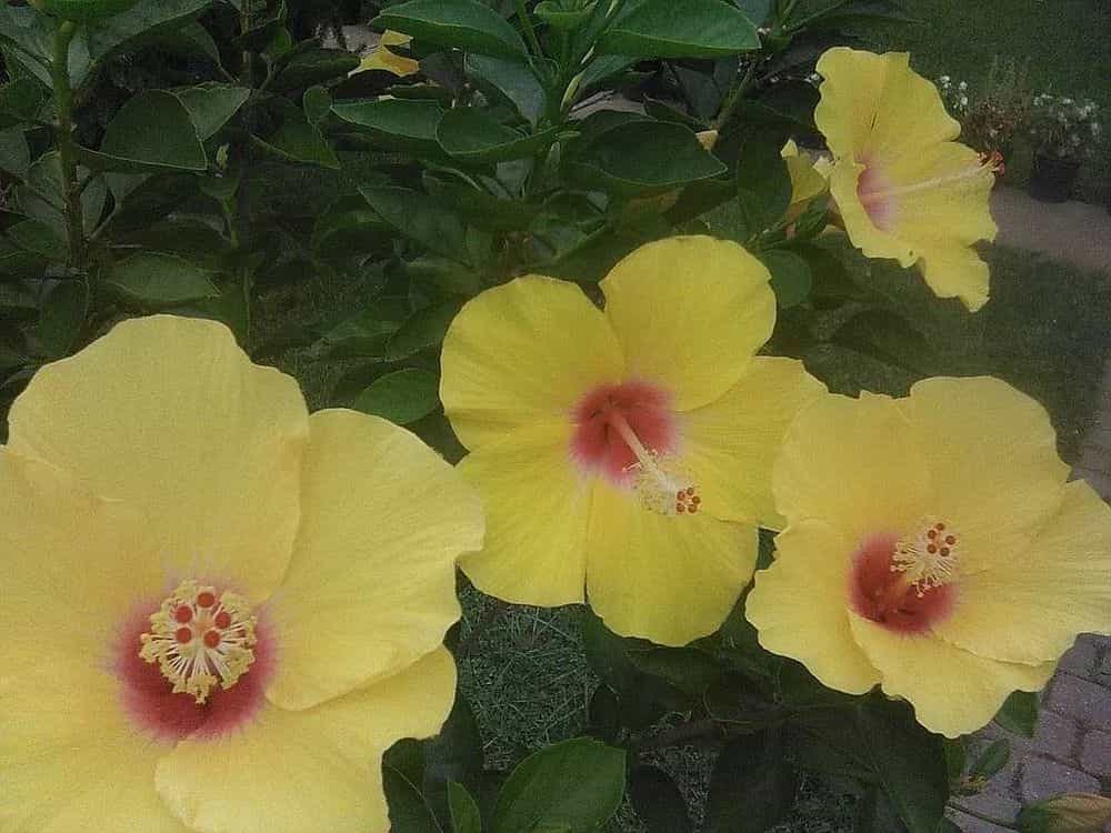 Picture of undefined, number 22
