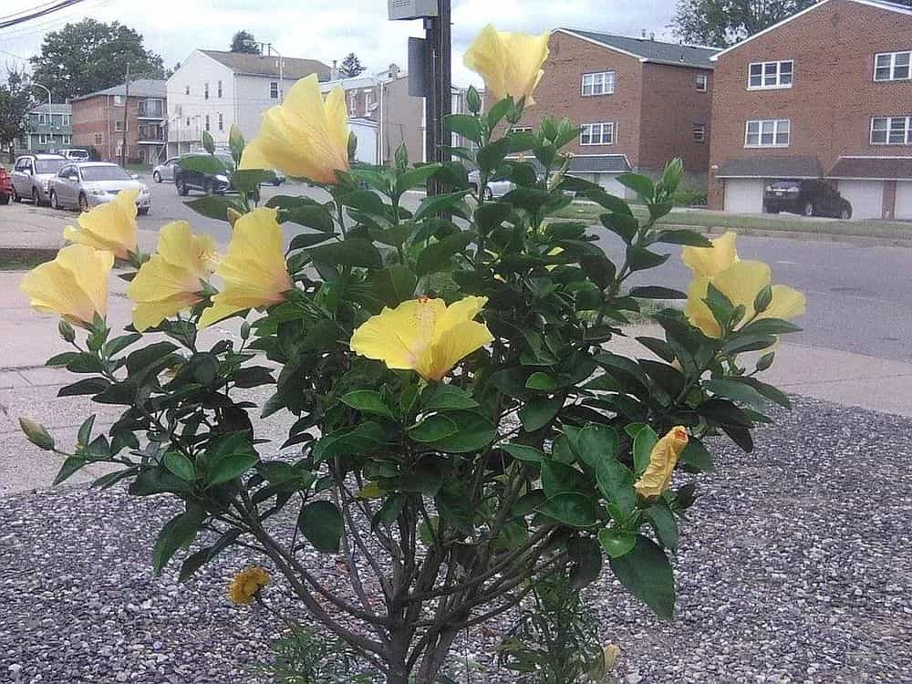 Picture of undefined, number 26