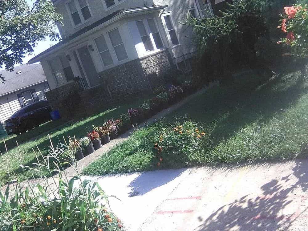 Picture of undefined, number 40