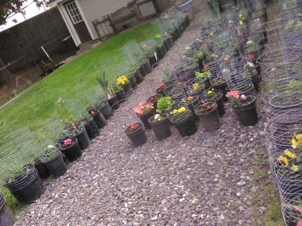 Picture of undefined, number 49