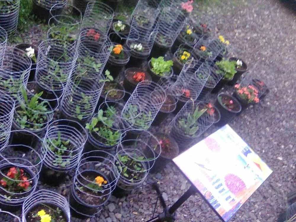 Picture of undefined, number 50