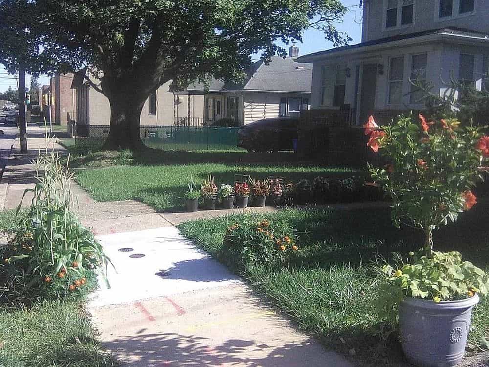 Picture of undefined, number 51