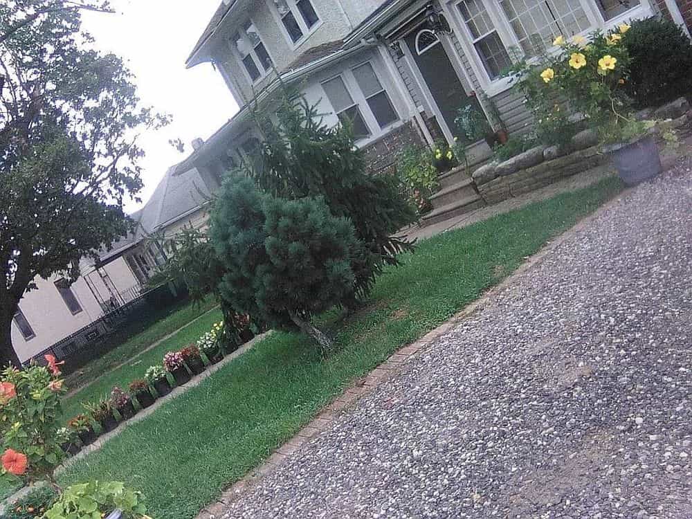 Picture of undefined, number 58