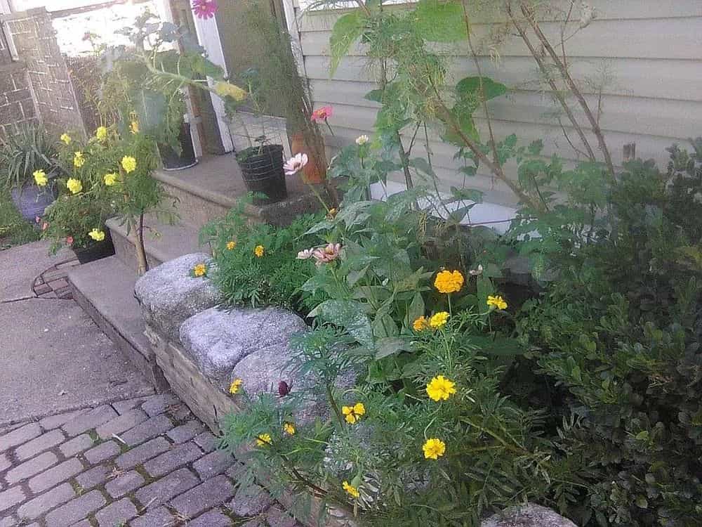 Picture of undefined, number 66