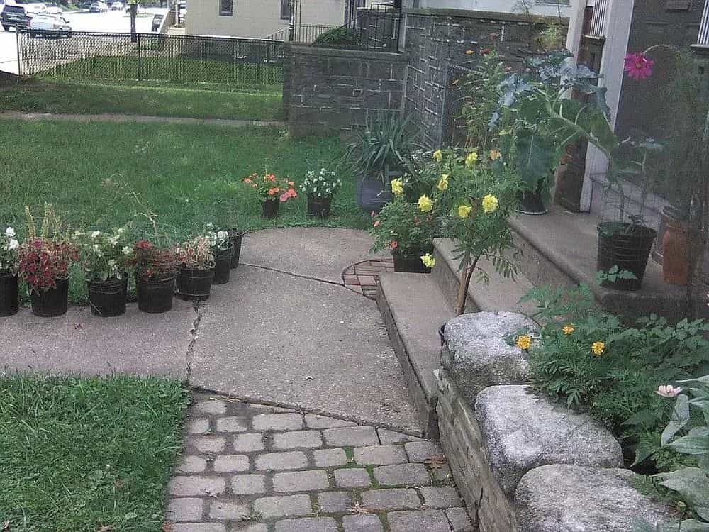 Picture of undefined, number 8