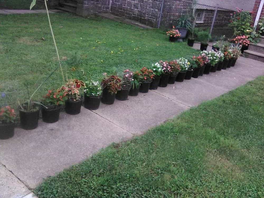 Picture of undefined, number 74