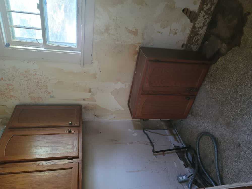 Picture of undefined, number 11