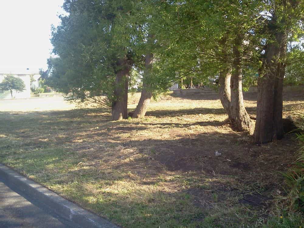 Picture of undefined, number 4