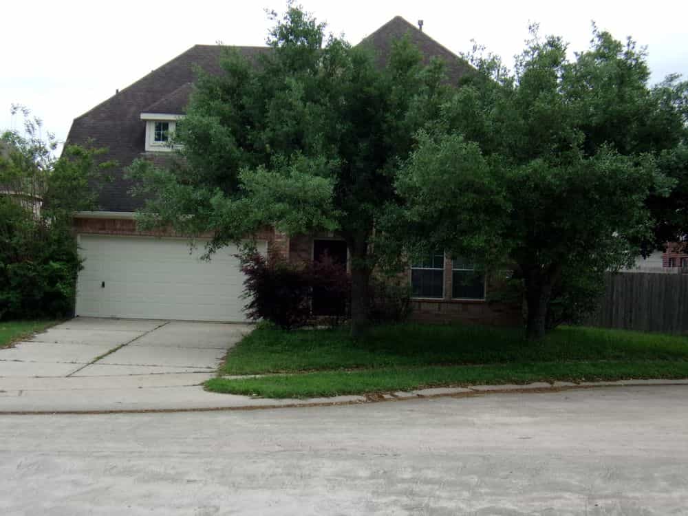 Picture of undefined, number 0