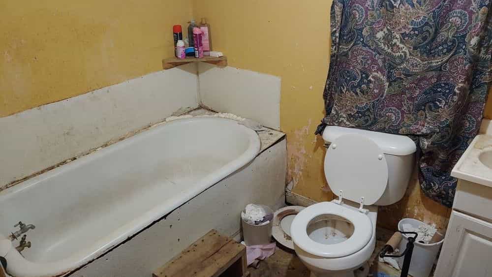 Picture of undefined, number 4