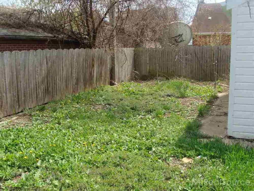 Picture of undefined, number 5