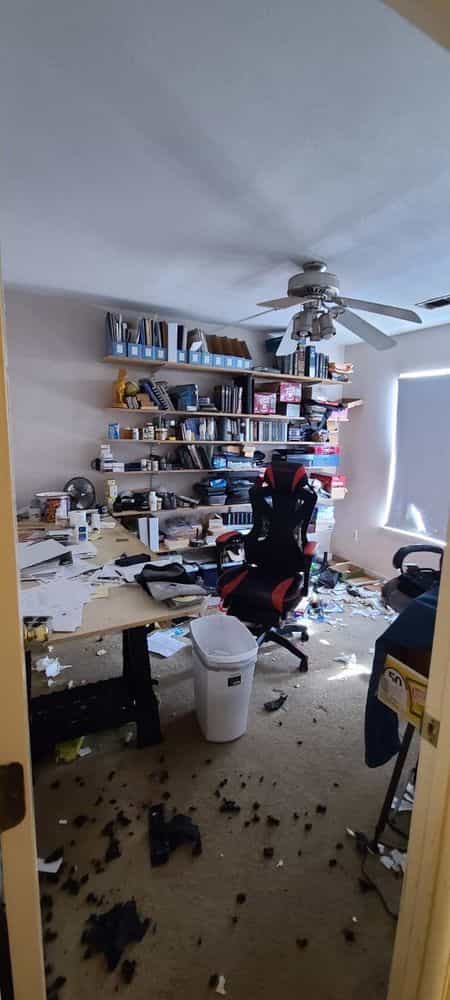 Picture of undefined, number 17