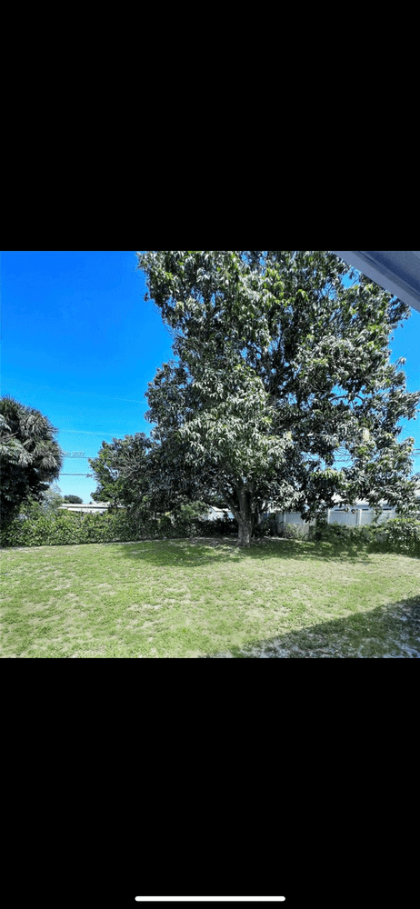 Picture of undefined, number 19
