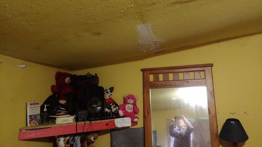 Picture of undefined, number 13