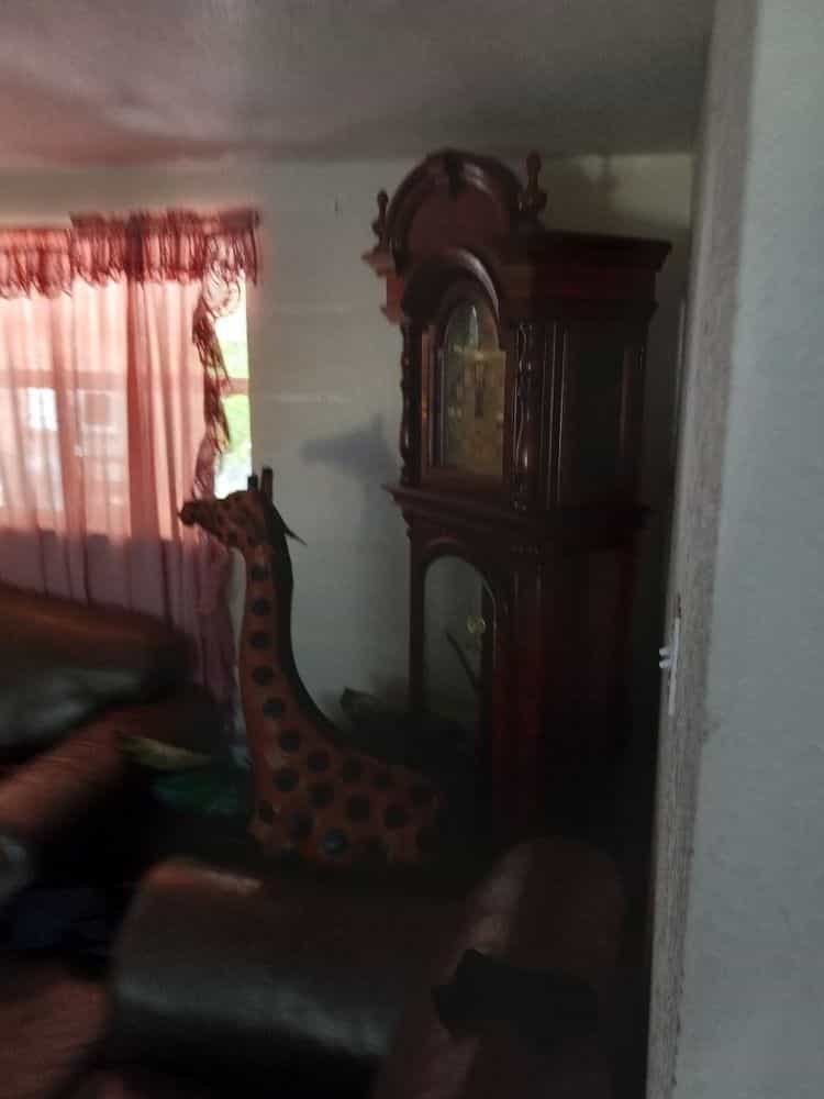 Picture of undefined, number 12