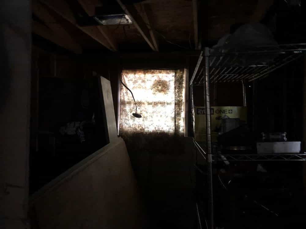 Picture of undefined, number 16