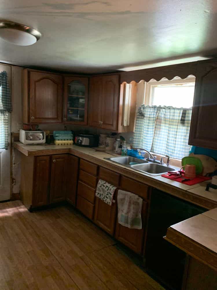 Picture of undefined, number 11