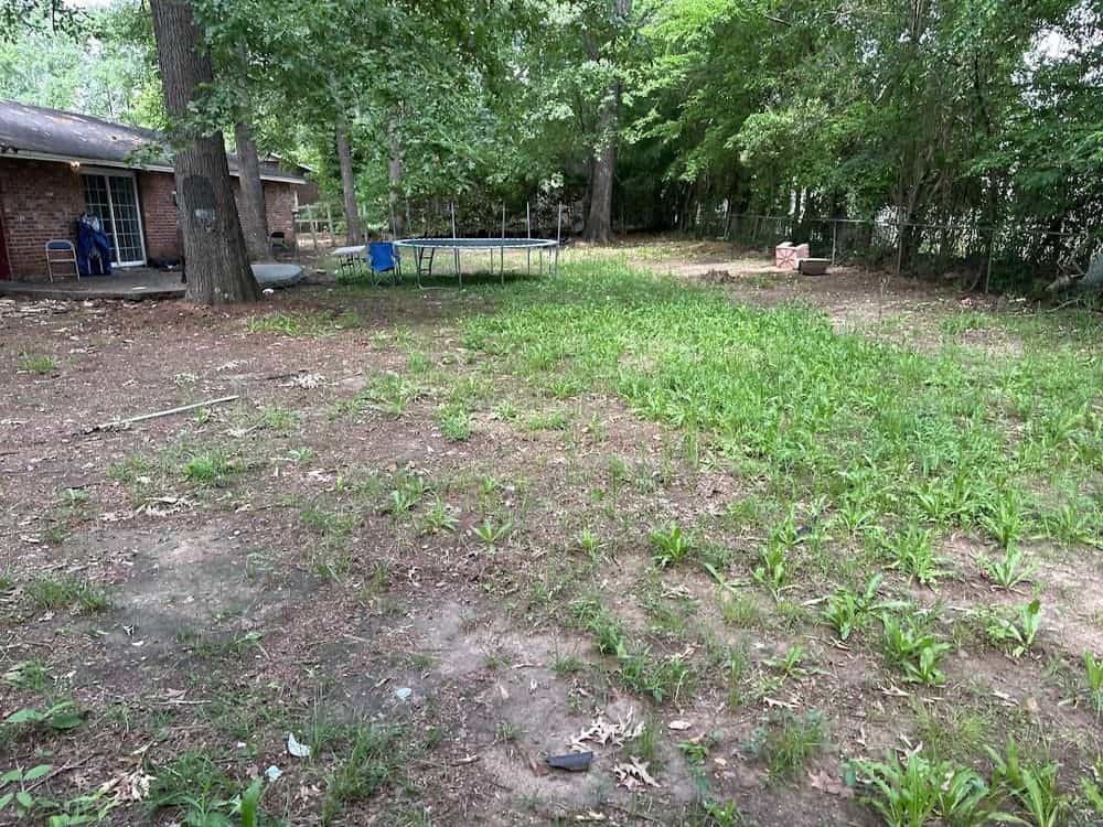 Picture of undefined, number 19