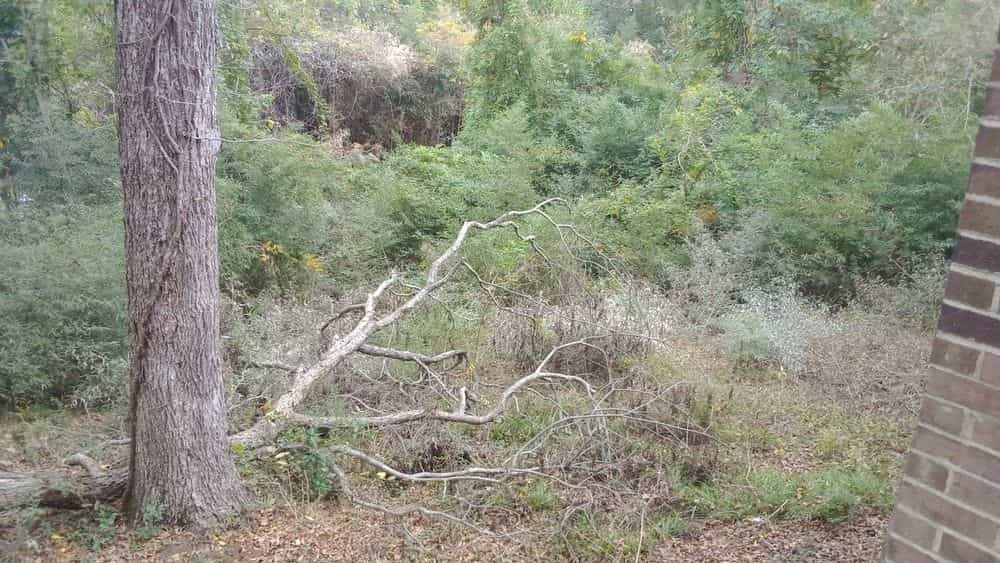 Picture of undefined, number 2