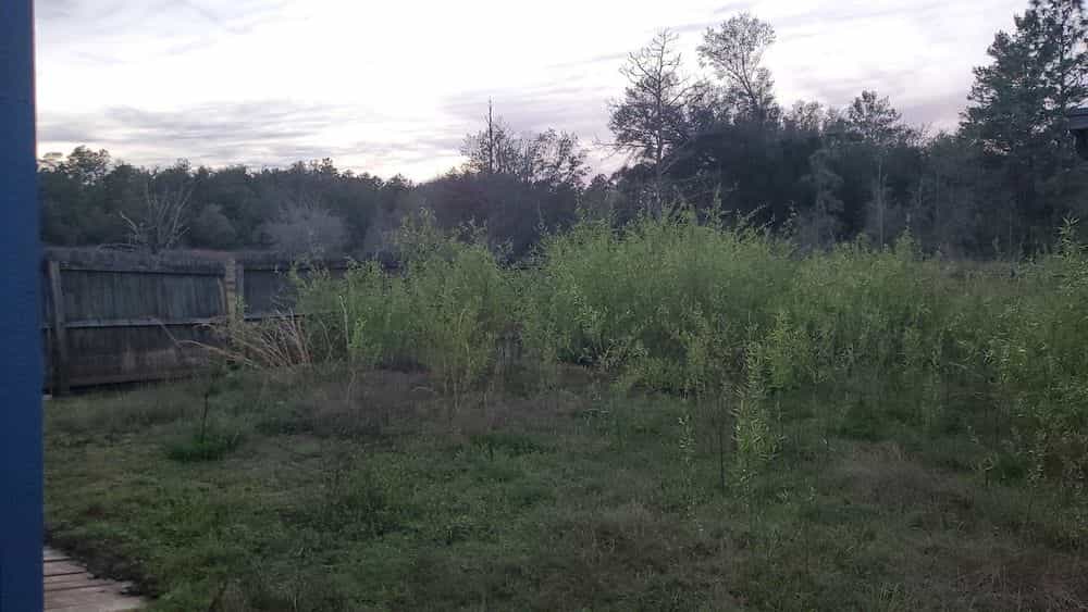 Picture of undefined, number 3